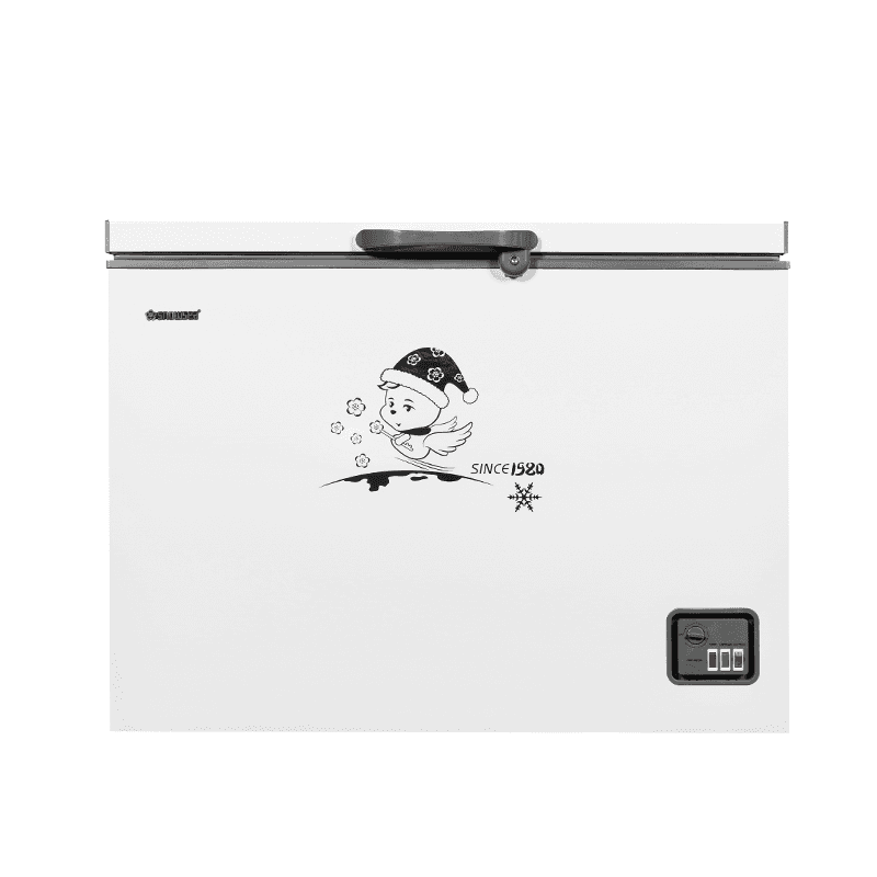 Freezer BD-208